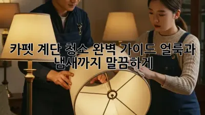 카펫 계단 청소 완벽 가이드: 얼룩과 냄새까지 말끔하게!